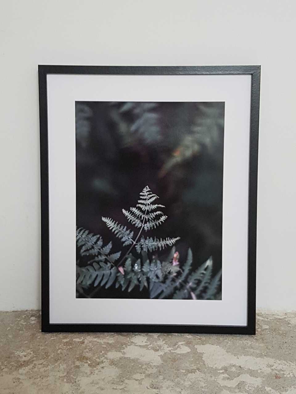 Plakat obraz zdjęcie format A3 30x40 cm paprocie kwiaty las trawy