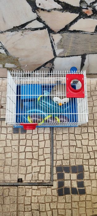 Gaiola para hamster