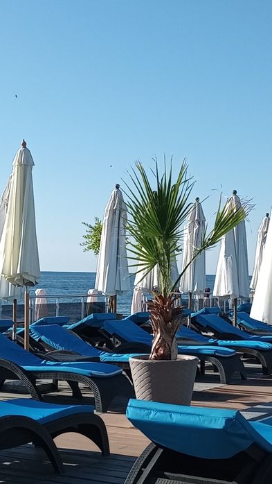 Сдам 1 ком. жилье в Черноморске уютная  квартирка в Черноморске