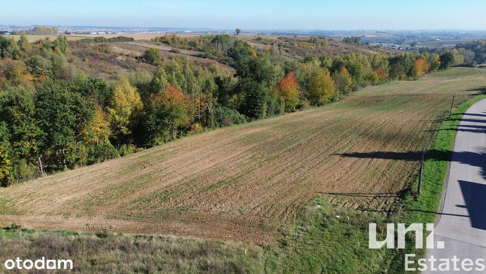 Duża działka| budowlano-rolna| 55 arów