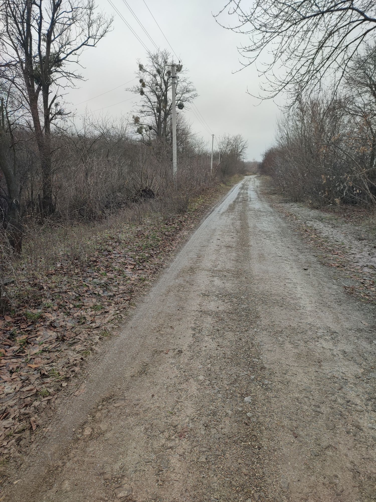 Продам дім село Вербівка