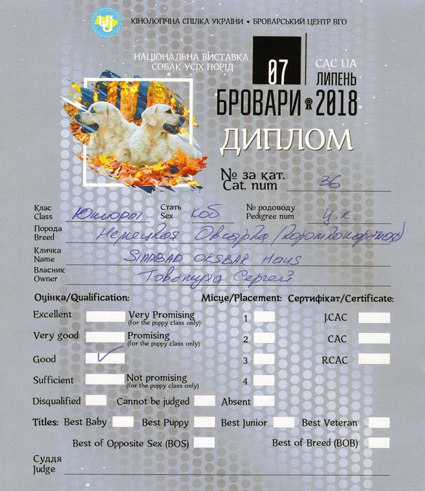 В'язка. Кобель німецької вівчарки 8 років.