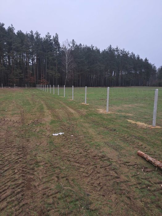 Ogrodzenie z siatki leśnej tymczasowe stałe działki siatka słupki
