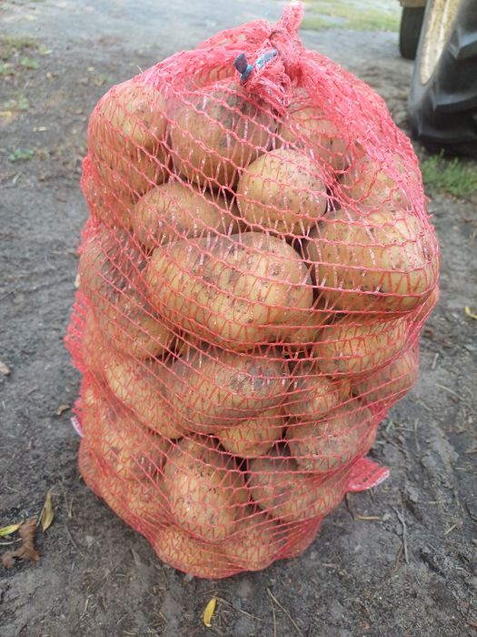 Ziemniak Denar 15 kg