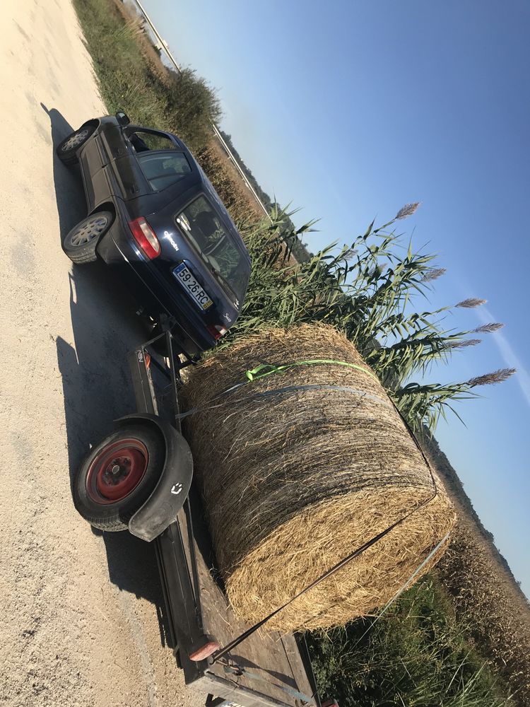 Mudanças / Transportes Figueira da Foz