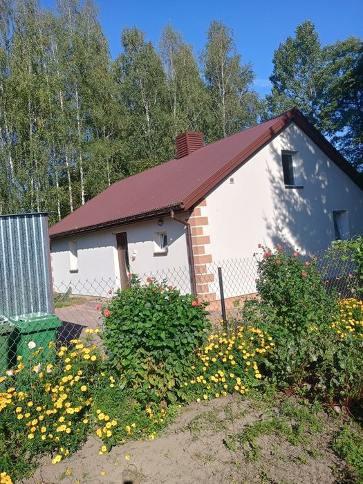Wynajmę komfortowy dom dostępny od zaraz cena zawiera opłaty