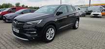 Opel Grandland X Czuj. MartwegoPola*Kamery360*Ks.Serwisowa*ParkTornic*Pół-Skóra