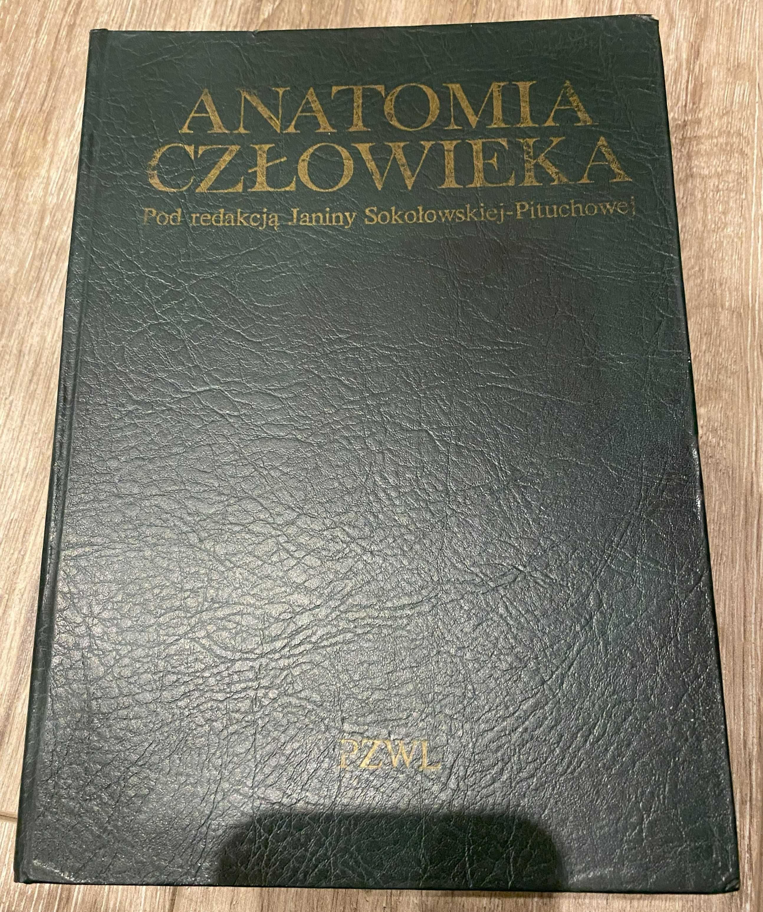 Książka Anatomia człowieka