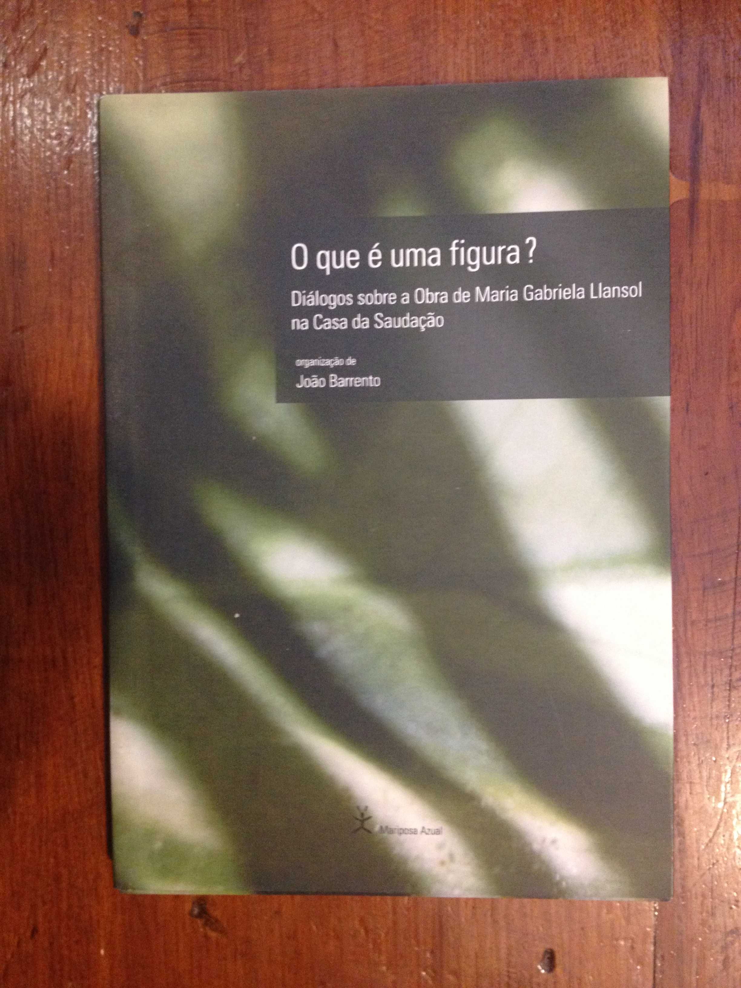 João Barrento (org.) - O que é uma figura?