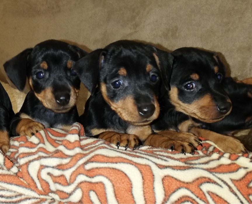 Малюк для тебе