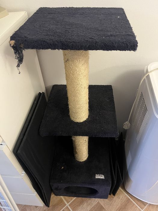 Árvore-arranhador para gatos