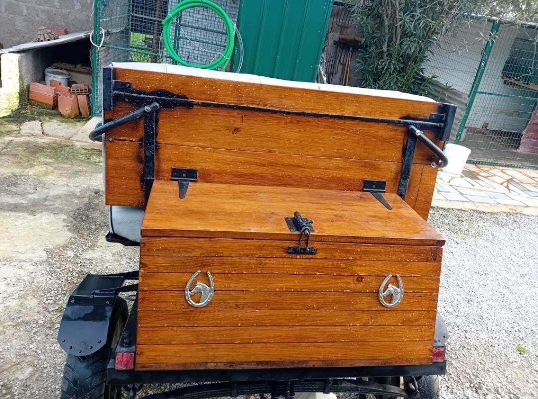 Vendo charrete impecável