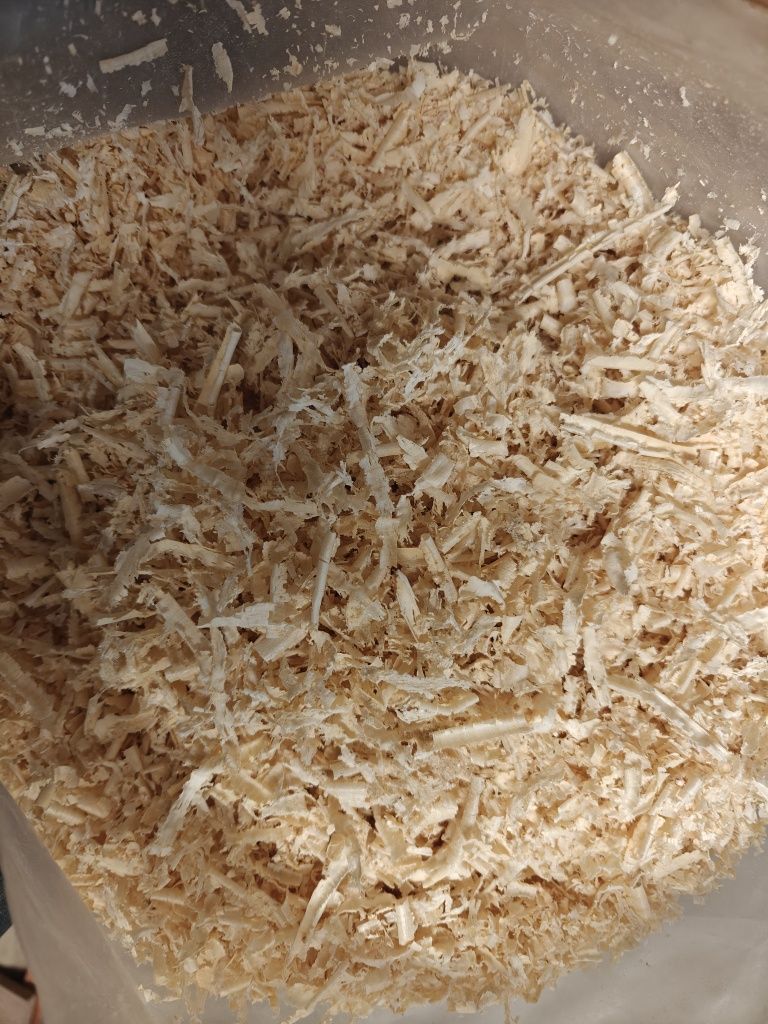 Wióry trociny sosnowe