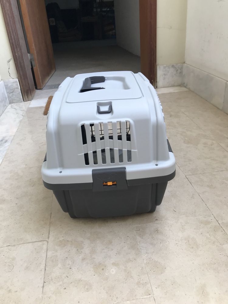 Caixa Transportadora Gatos