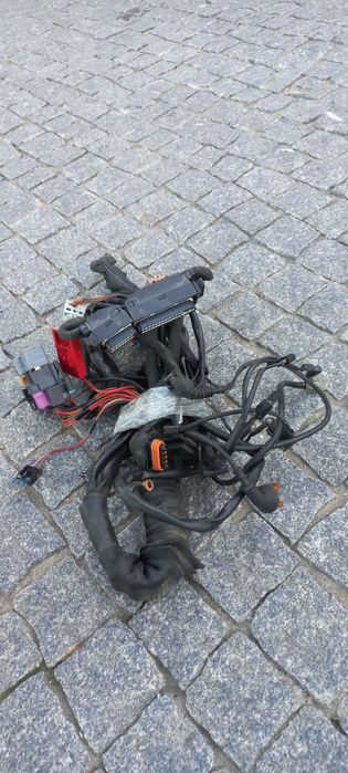 Cablagem completa motor AUDI/VW-1.9TDI VP 90/110CV-2 fichas Centralina