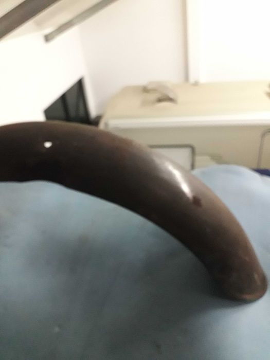 Guarda lamas original Norton