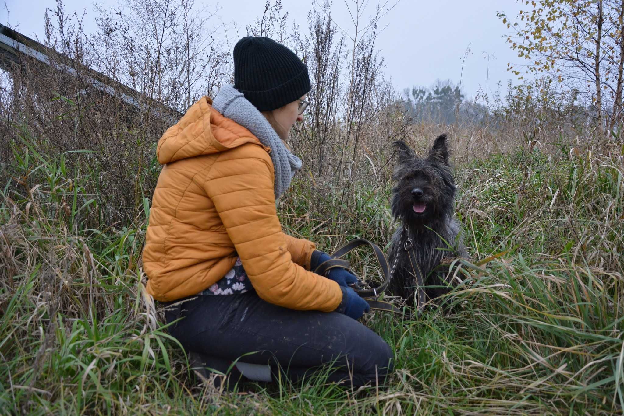 Gringo – delikatny pies marzy o domu pełnym cierpliwości