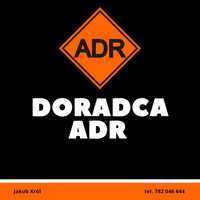 Doradca DGSA ADR - Roczne sprawozdania | Raporty powypadkowe | Plan