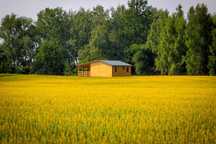 Domek na skarpie - Kosewo