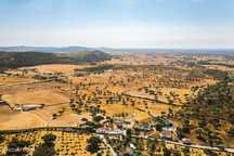 Monte Alentejano com 45 Hectares e Infraestruturas Agrícolas