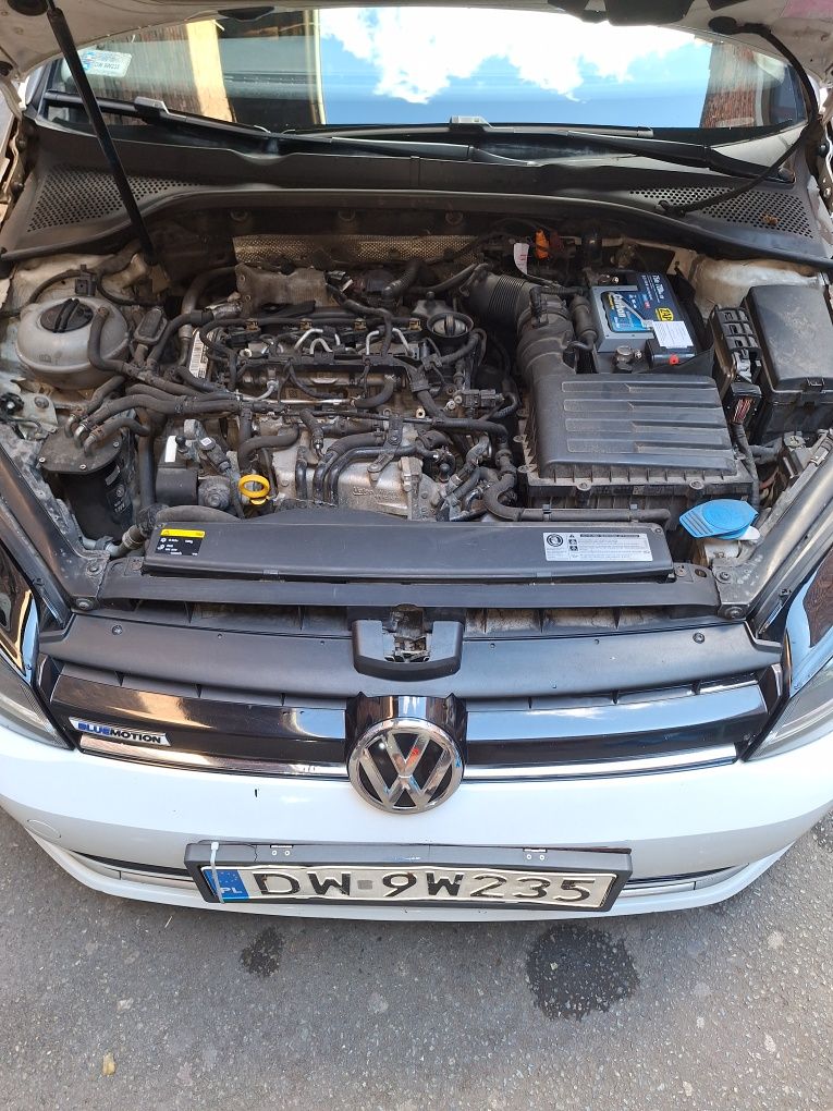 Volkswagen Golf 7 bluemotion