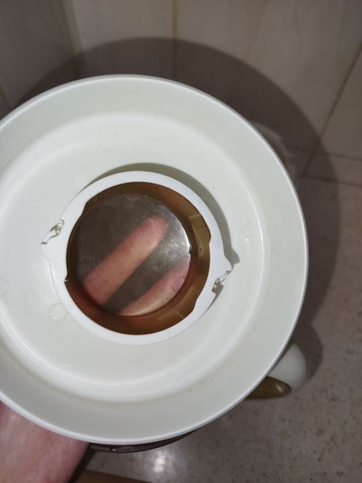 Блендер scarllet