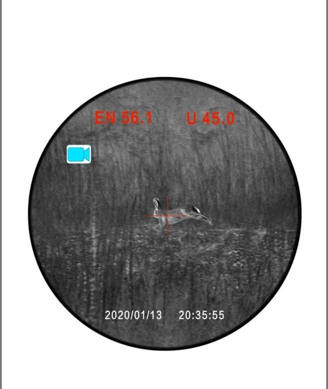 Приціл нічного бачення Discovery Digital Night Vision Scope HD 5-20X