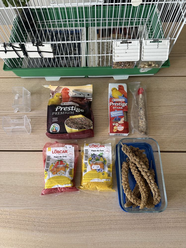 Vendo Gaiola Completa para Canários – Tudo Incluído!