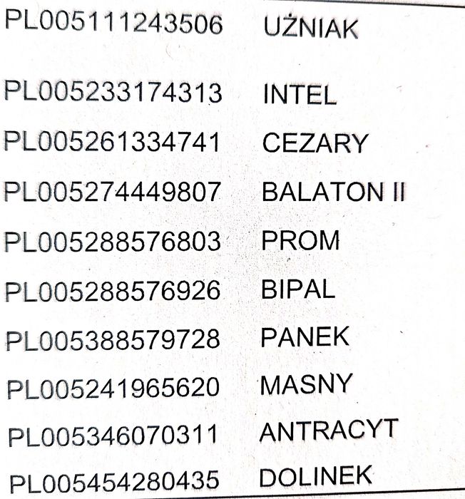 Byk rasy Polska Czerwona z Zasobów Genetycznych