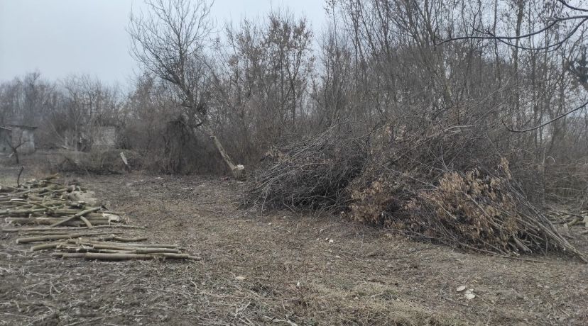 Покос трави ,зрізання кущів , розчистка території