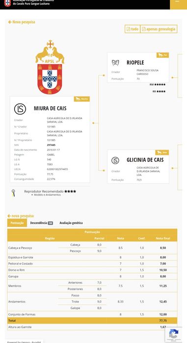 Vendo poldra PSL filha Miura de cais