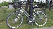 Rower damski Kands Galileo Lady