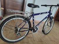 Rower rally mtb 24"