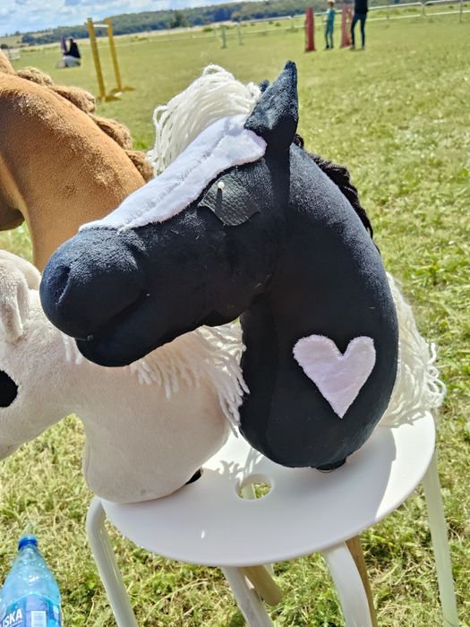 Łaciaty Hobby Horse A4