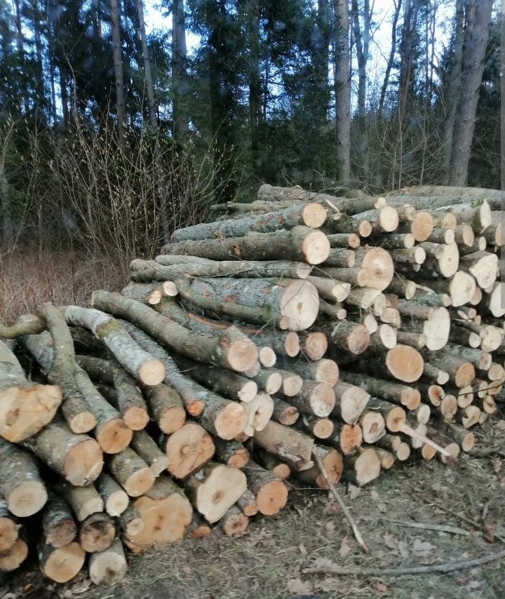 Drewno Kominkowe i Opałowe z dostawą