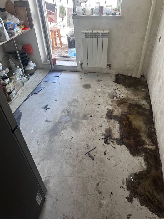 Удаление трупного запаха Удаление запаха дыма - мочи - животных . Озон