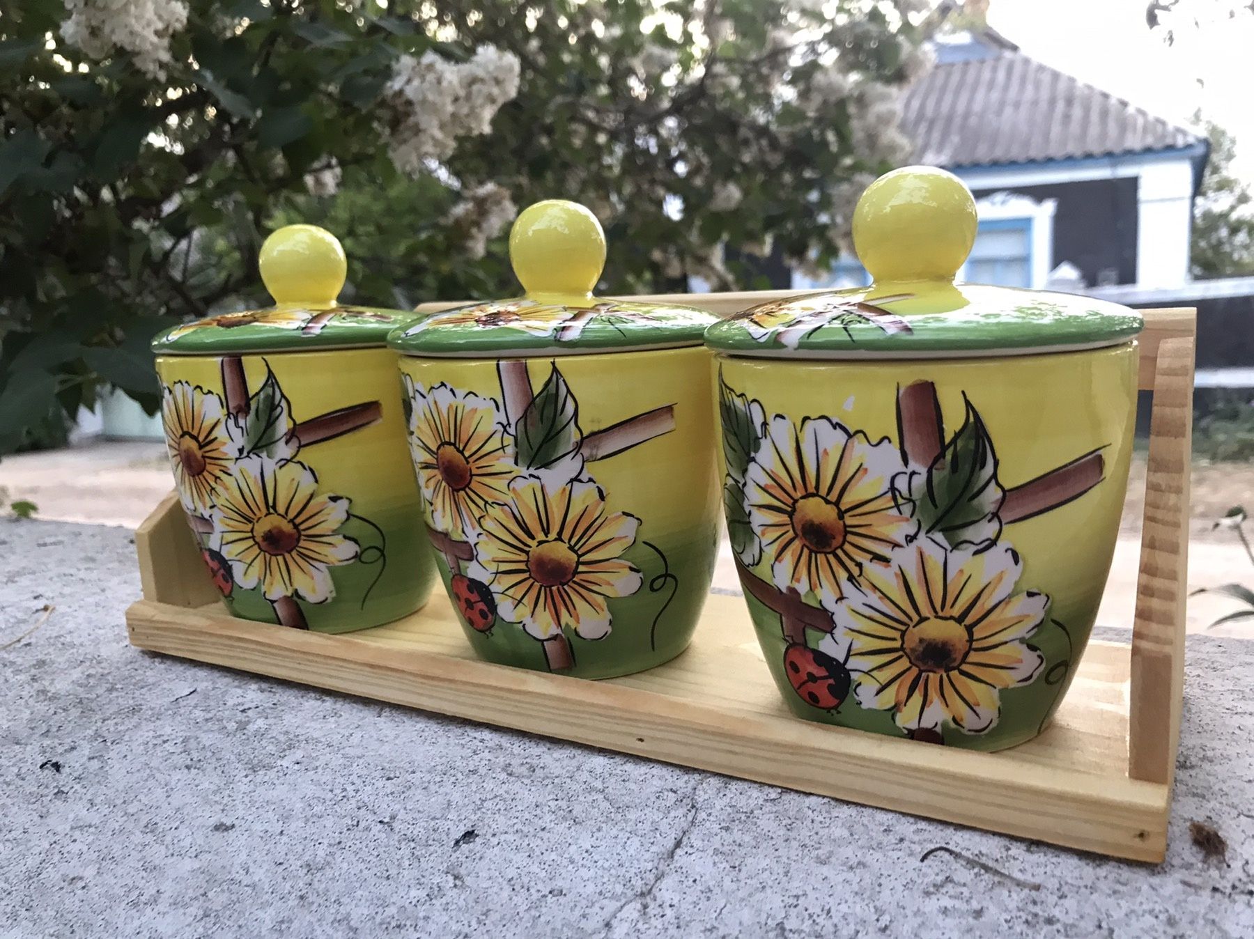 Фоомочки для солі, перцю, цукру
