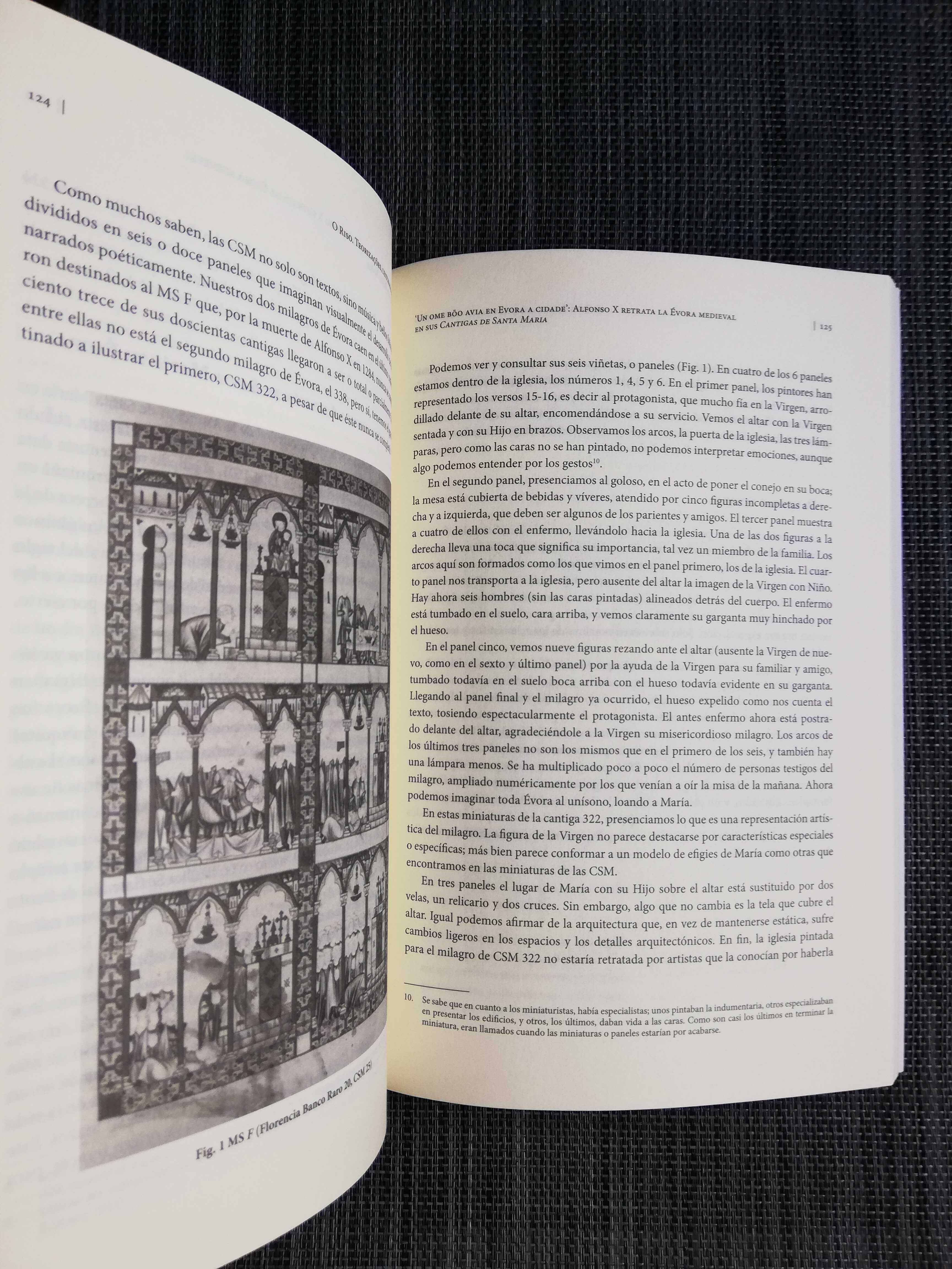O Riso - Vários Autores (portes incluídos)