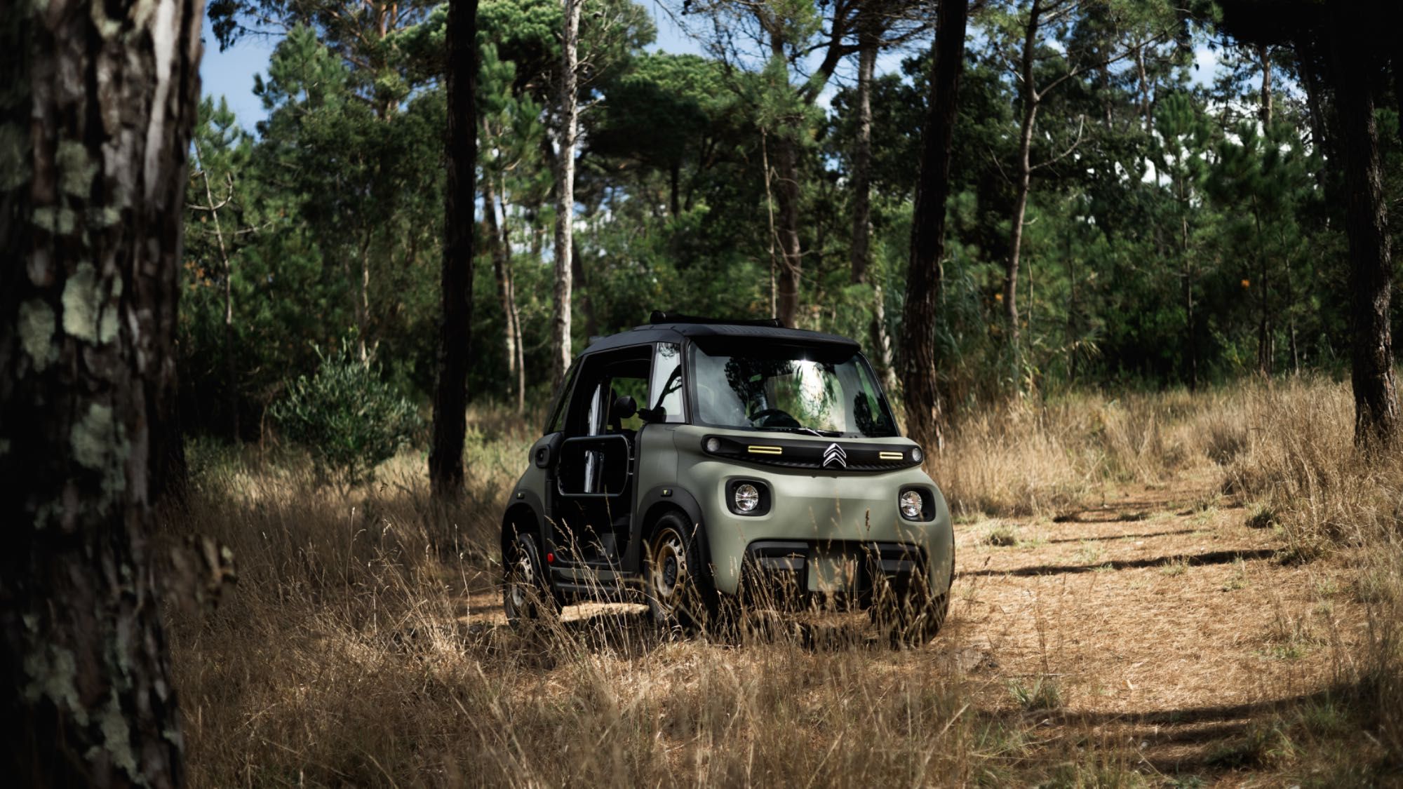 Citroen Ami Buggy