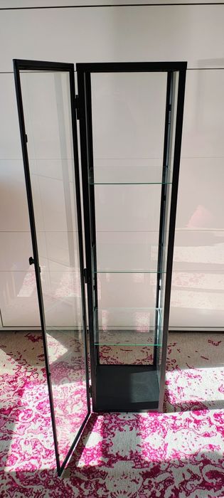 Szklana metalowa witryna