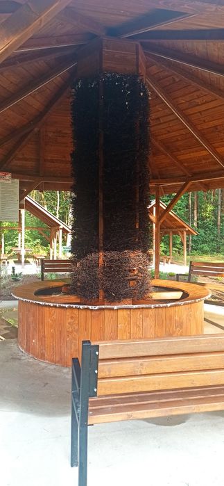 Hortensja domek do wynajęcia