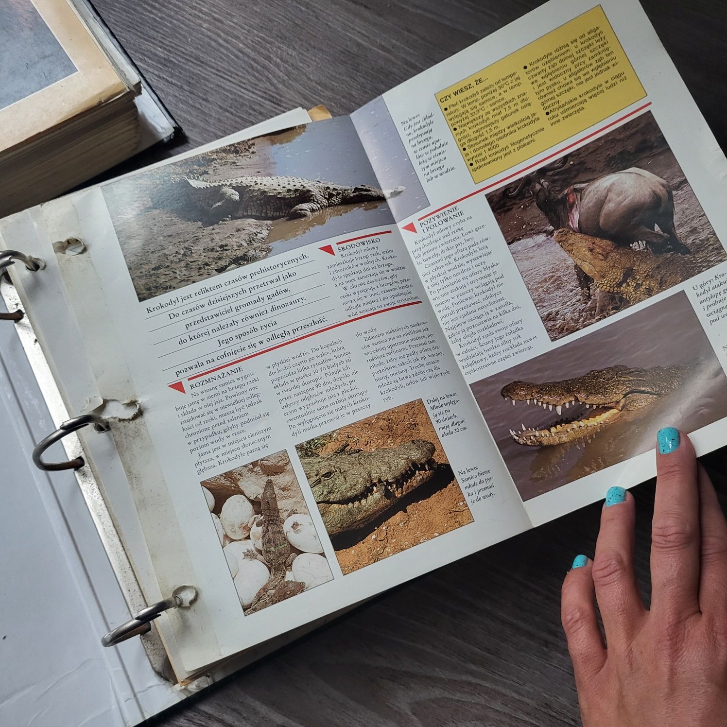 Encyklopedia zwierząt 2 segregatory