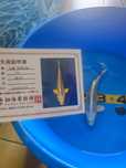 Koi Gin Matsuba com certificado