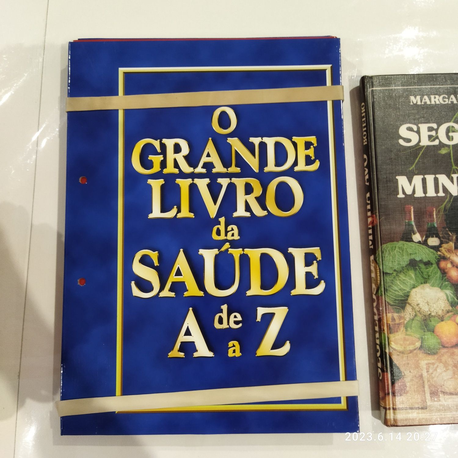 O grande livro da saúde de A à Z