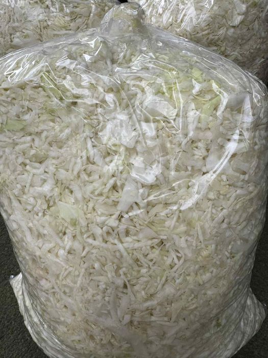 Sprzedam kapustę kamienna głowę