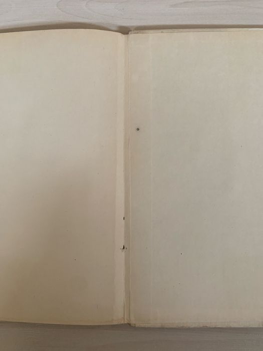 Hanna Januszewska Ambaje wyd.1 1967 Szancer