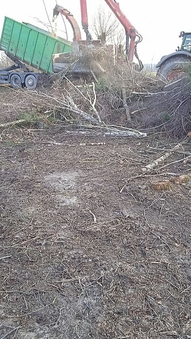 czyszczanie działek,wycinka drzew,wycinka samosiejek