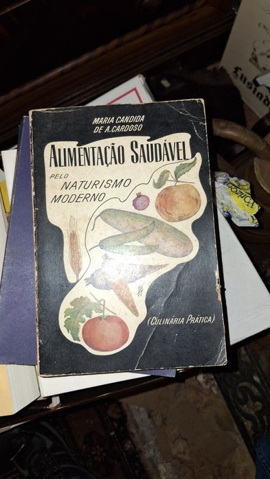 Alimentação Saudável livro receitas Maria Candida Cardoso 4 edição