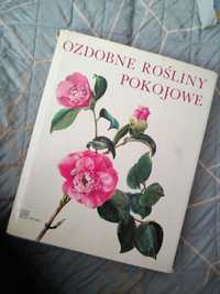 Ozdobne rośliny pokojowe J. Oplt Il. J. Kaplicka