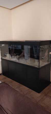 Продам аквариум в комплекте: банка 2000/700/700, тумба с металлокаркас